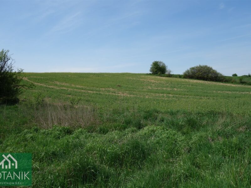 Działka na sprzedaż, Jastków, Snopków