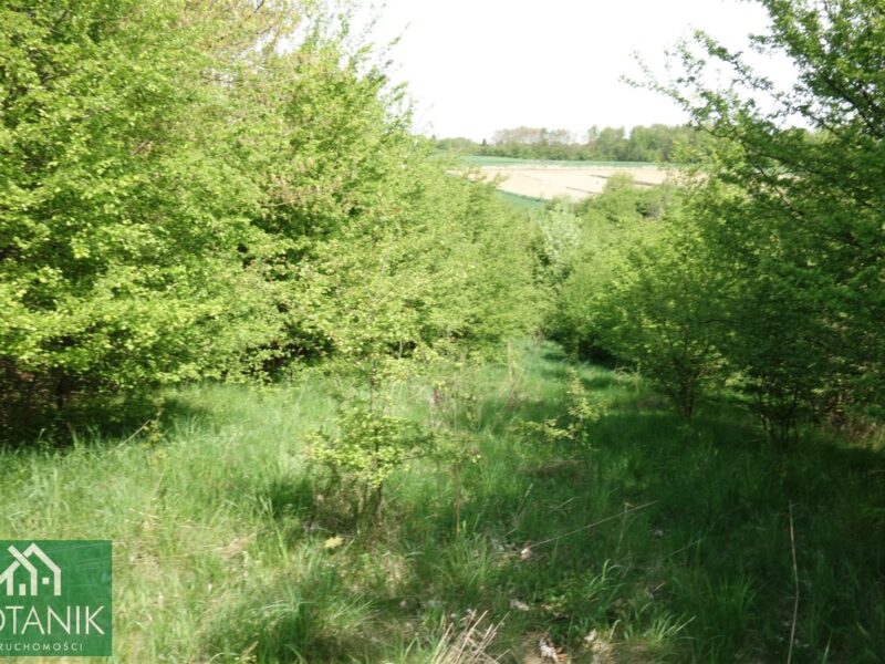 Działka na sprzedaż, Jastków, Snopków