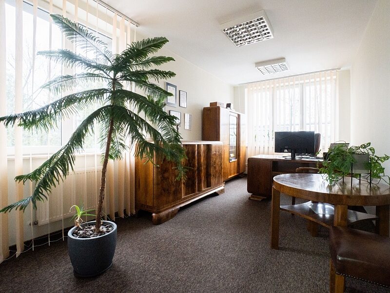 Lokal - 3 pokoje. Parter. Parking. Lublin, Wrotków