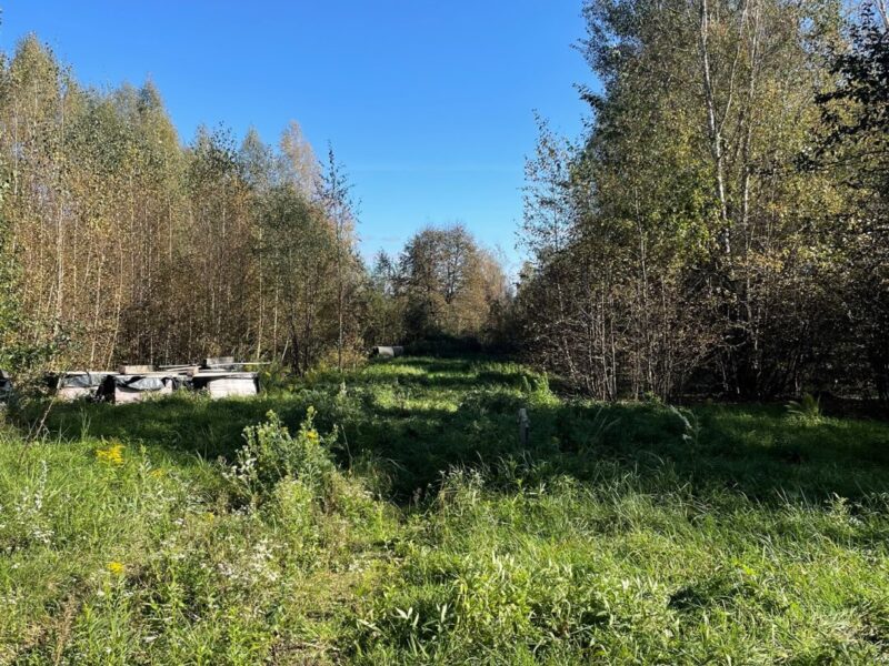 Kębło - działka na sprzedaż