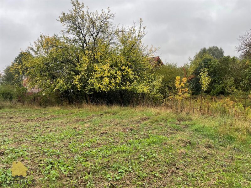 Jastków - działka na sprzedaż