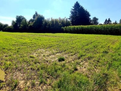 Lublin - działka na sprzedaż