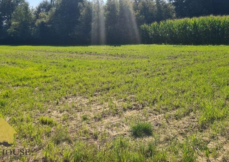 Lublin - działka na sprzedaż