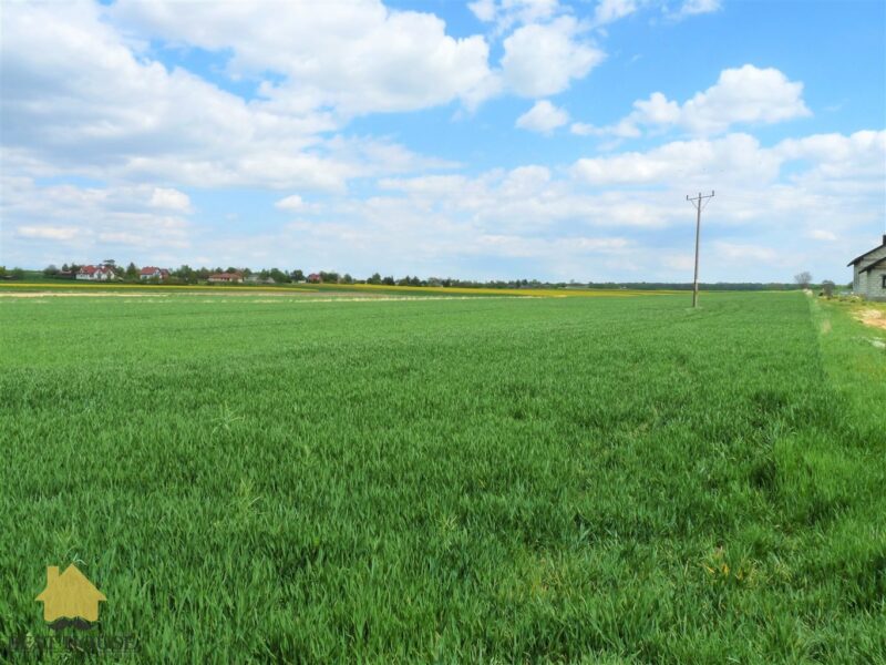 Działka na sprzedaż - Jabłonna Pierwsza