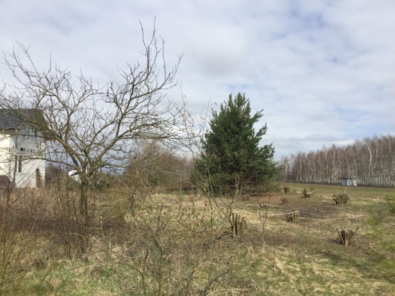 Osówka -dz.budowlana MN