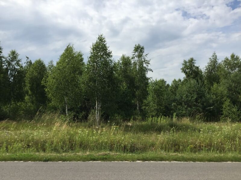 Rokitno - działki budowlane z drzewostanem