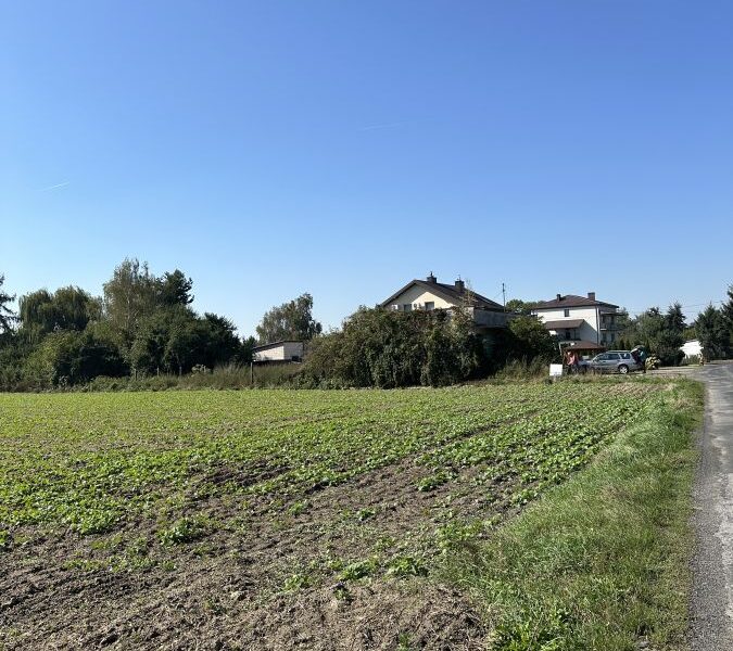 Ludwików 17 ar budowlane przy asfalcie