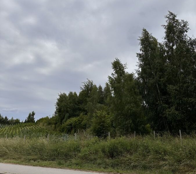 Działka ze starodrzewem -Jakubowice Kon.Lubelska