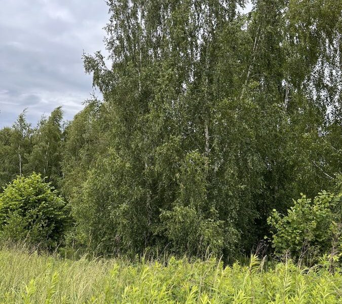 Działka ze starodrzewem -Jakubowice Kon.Lubelska