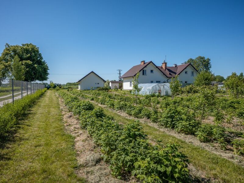 Działka bud.na granicy Natalina i Panieńszczyzny