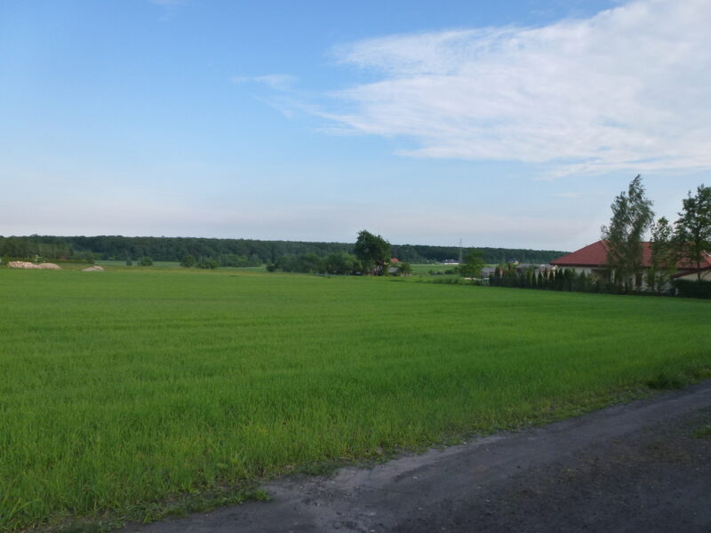 Kazimierzówka - działka budowlana MN/U