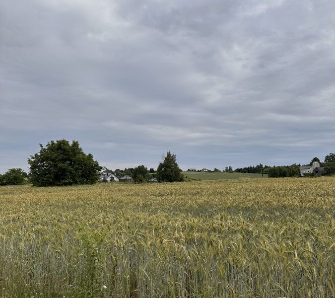 Jakubowice - działka pod osiedle domów jednorodzinnych