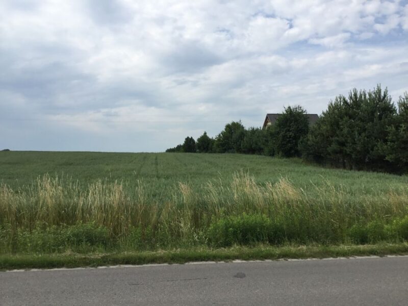 Rokitno - działki budowlane przy drodze asfaltowej