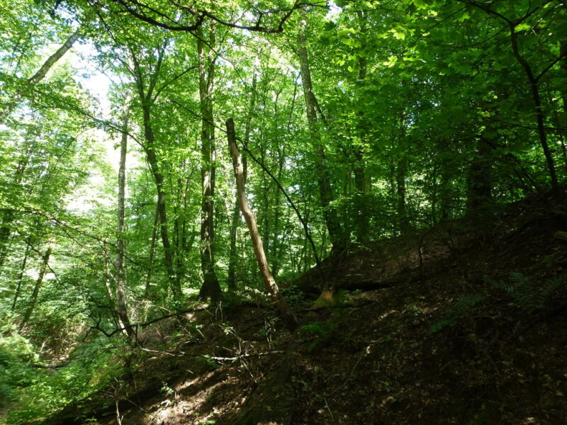 Kazimierz Dln-działka budowlana 2km od Rynku