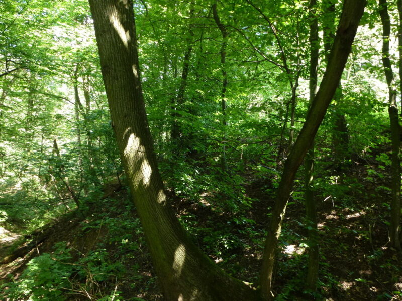 Kazimierz Dln-działka budowlana 2km od Rynku