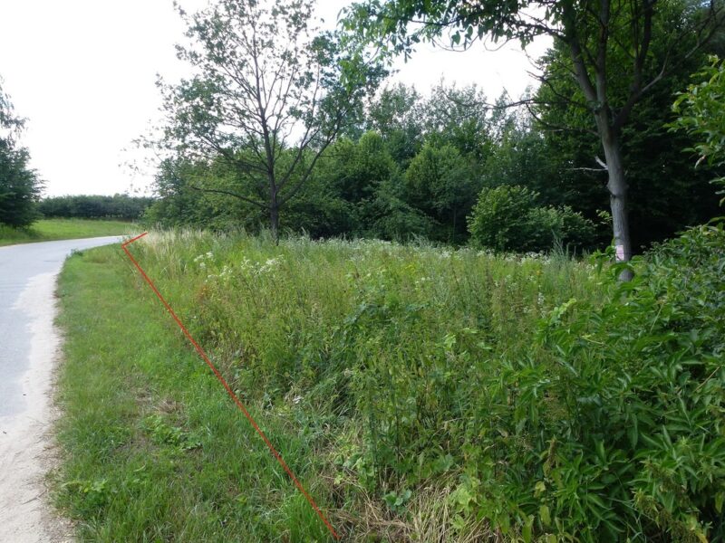 Kazimierz Dln-działka budowlana 2km od Rynku