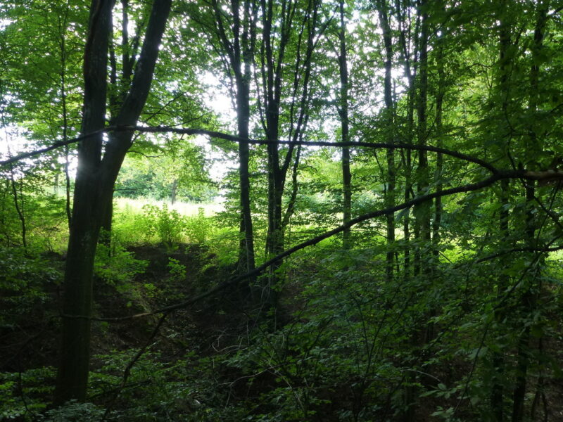 Kazimierz Dln-działka budowlana 2km od Rynku