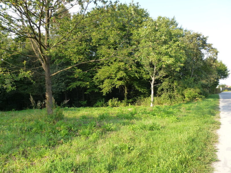 Kazimierz Dln-działka budowlana 2km od Rynku