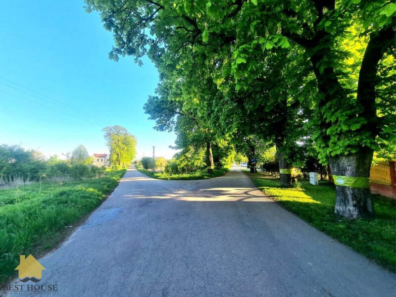 Trawniki-Kolonia - lokal na sprzedaż