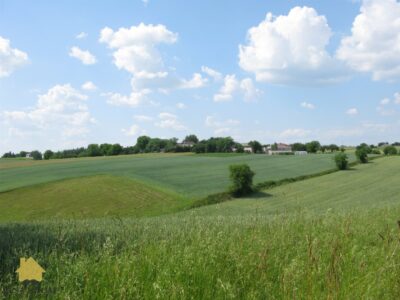Jastków - działka na sprzedaż
