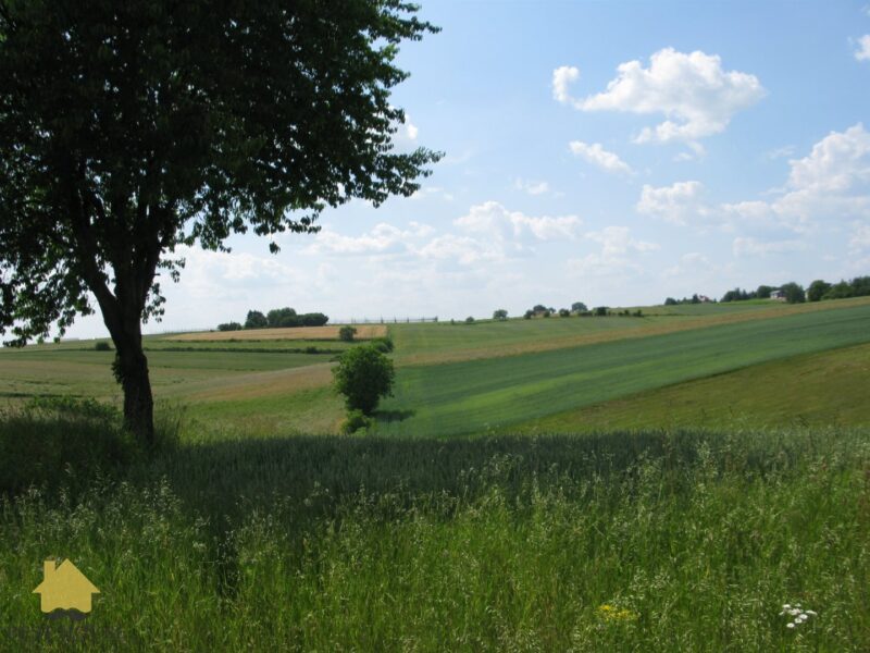 Jastków - działka na sprzedaż
