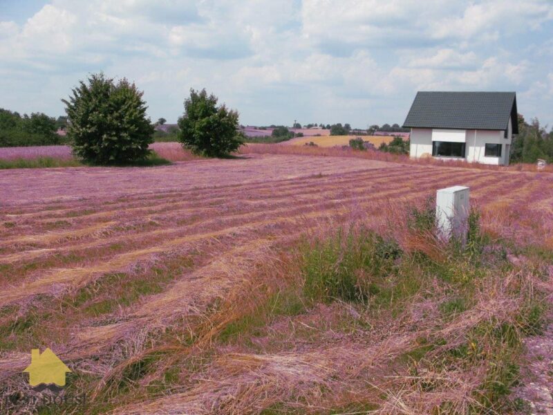 Jastków - działka na sprzedaż