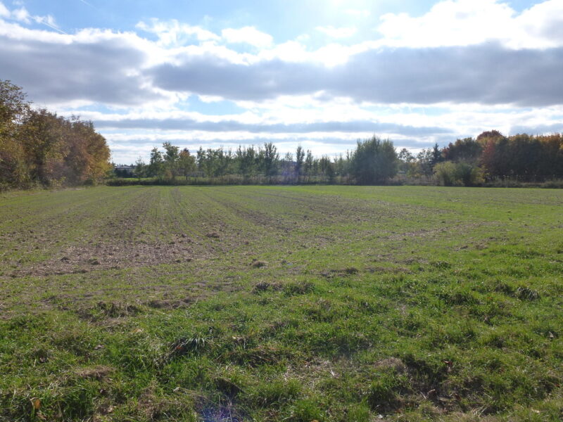 Lublin Folwarczna- teren inwestycyjny 1,45ha