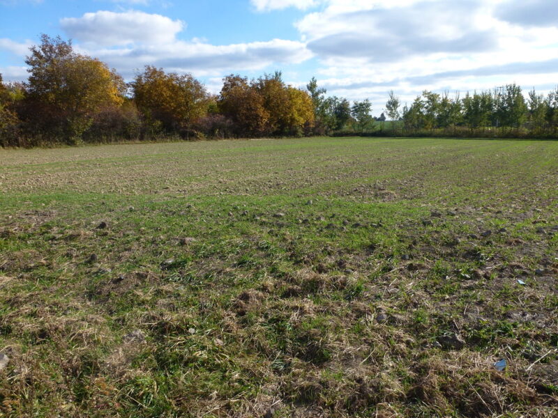 Lublin Folwarczna- teren inwestycyjny 1,45ha