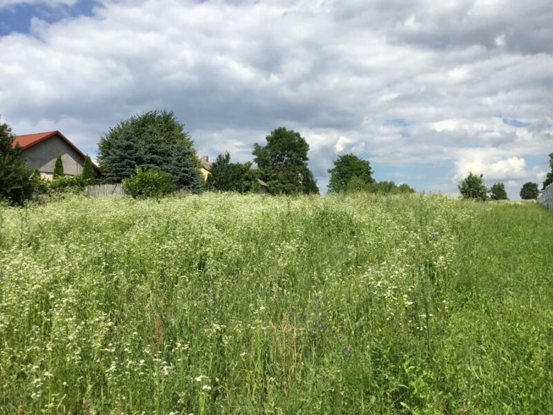 Prawiedniki - działka z widokiem na Bystrzycę.