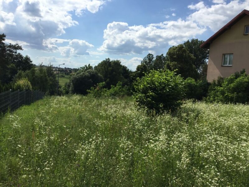 Prawiedniki - działka z widokiem na Bystrzycę.