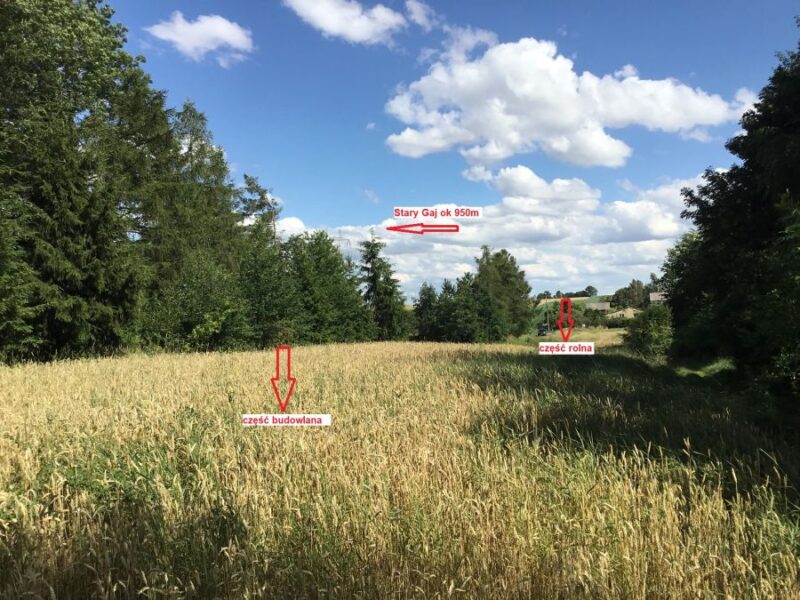 Zemborzyce Podl.- działka bud rolna blisko Starego Gaju