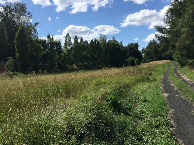Zemborzyce Podl.- działka bud rolna blisko Starego Gaju