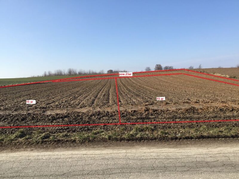 Działki z WZ niedaleko Nałęczowa w Maszkach Wojciechowskich