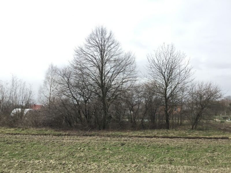 Osówka -dz.budowlana MN