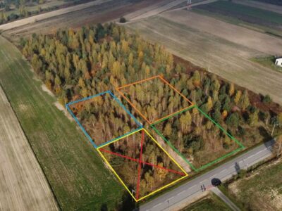Rokitno - działki budowlane z drzewostanem
