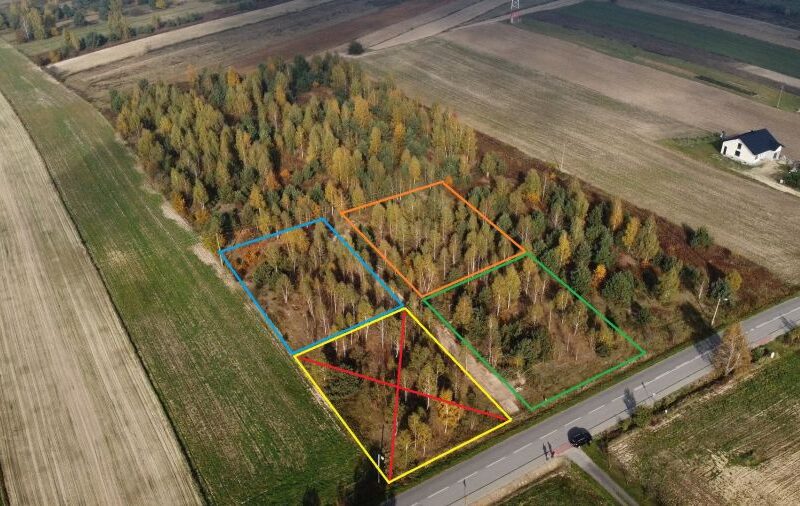 Rokitno - działki budowlane z drzewostanem