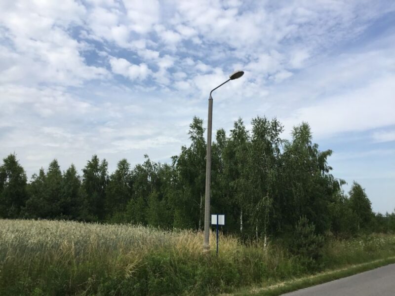 Rokitno - działki budowlane z drzewostanem