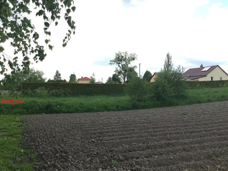 Sadurki k/Nałęczowa -działka z WZ