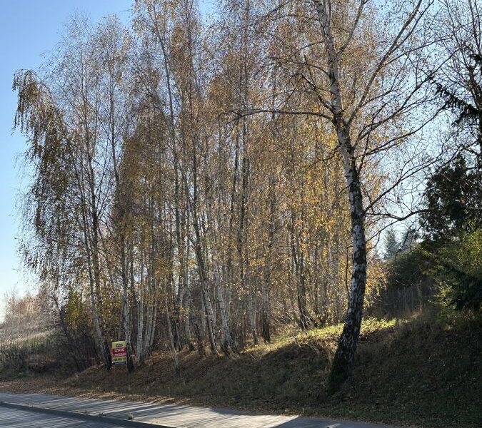 Działka bud-rolna ze starodrzewem -Jakubowice Kon.Lubelska