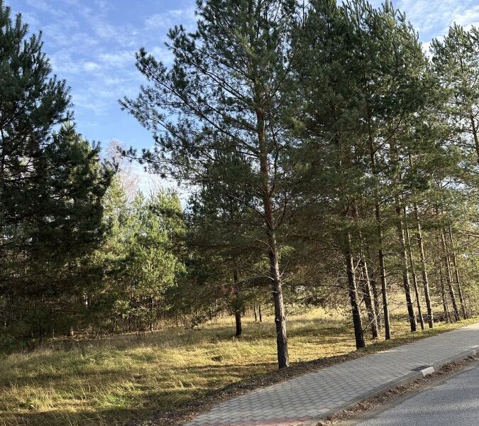 Teren pod osiedle domów