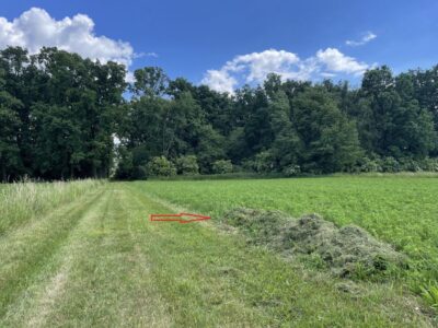 Działka bud-rolna przy lesie 15 km od Lublina