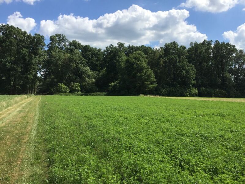 Działka bud-rolna przy lesie 15 km od Lublina