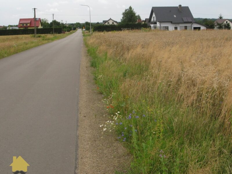 Siostrzytów - działka na sprzedaż