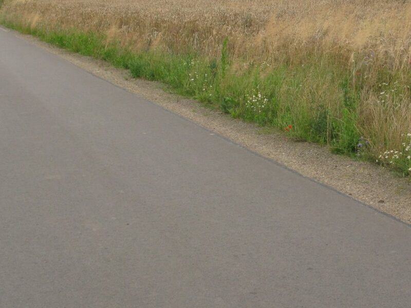 Siostrzytów - działka na sprzedaż