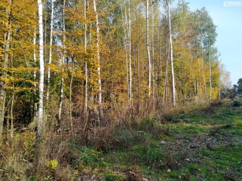 Wylągi - działka na sprzedaż