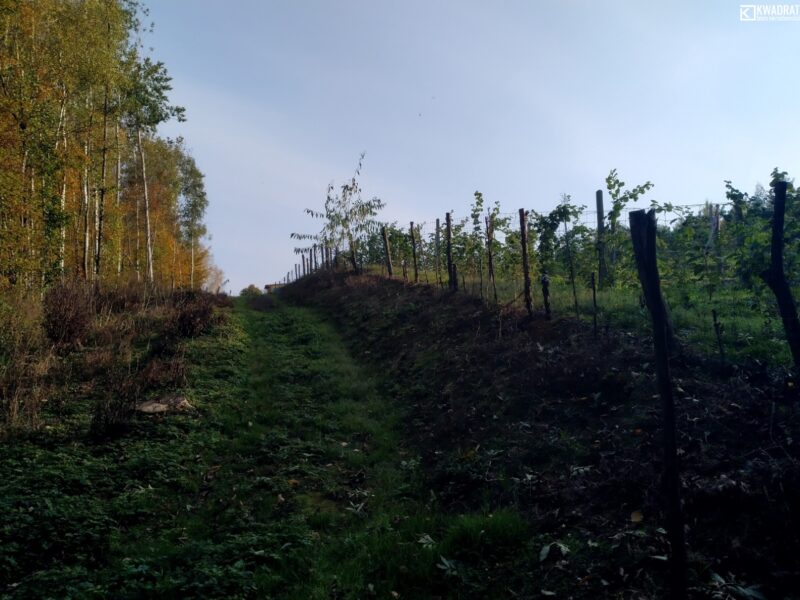 Wylągi - działka na sprzedaż