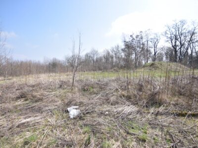 Dąbrowica - działka na sprzedaż