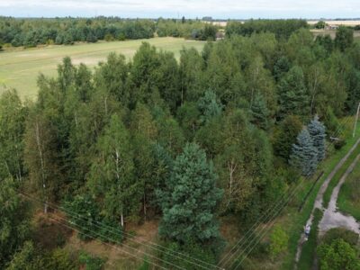Kanie-Stacja - działka na sprzedaż