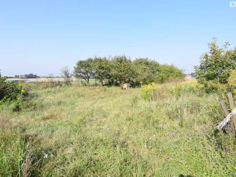 Świdnik Duży - działka na sprzedaż