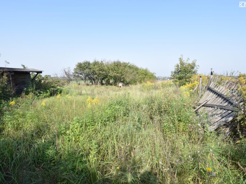 Świdnik Duży - działka na sprzedaż
